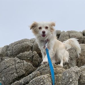 Meet your Posher, Gianna